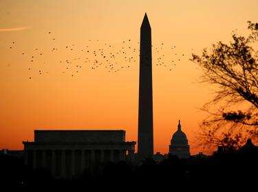 Birds silhouetted over the Lincoln Memorial, the Washington Monument and the U.S. Capitol at sunrise in Washington, D.C., November 8, 2016