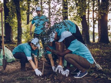 Group of people planting a tree, photo by South_agency/Getty Images