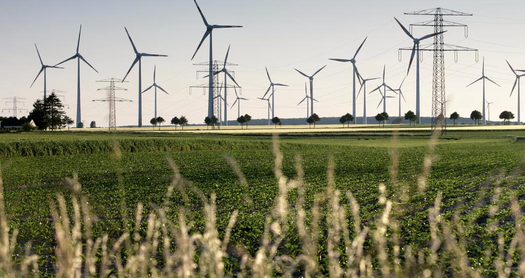 Windmills in field, photo by thomaslerchphoto/Adobe Stock