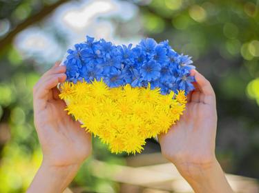 Two hands holding a heart made out of flowers in the colors of Ukraine'a flag, photo by Maryna Petrenko-Shvets/Getty Images