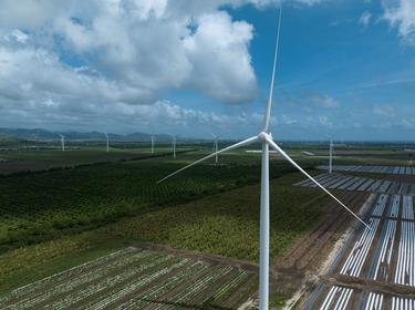A wind energy turbine is seen in front of damaged crops in the aftermath of Hurricane Fiona in Santa Isabel, Puerto Rico, September 21, 2022, photo by Ricardo Arduengo/Reuters
