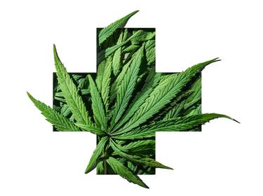 Cannabis green leaves in medical plus sign emblem frame on white background, photo by Amax Photo/Getty Images